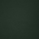 Camiseta Adulto Color Epika AMARILLO